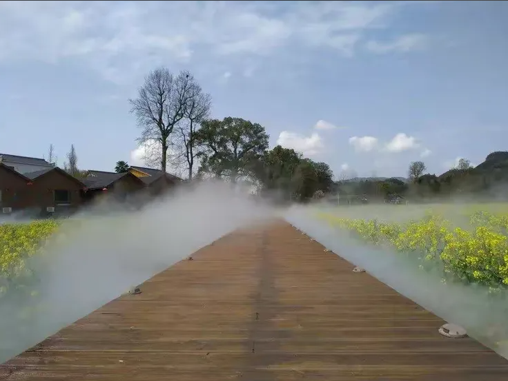 Cold Mist Systems